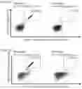 Fig. 16 - Peptides and combination of peptides of non-canonical origin for use in immunotherapy against different types of cancers