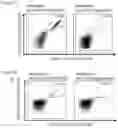 Fig. 15 - Peptides and combination of peptides of non-canonical origin for use in immunotherapy against different types of cancers