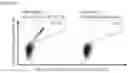 Fig. 18 - Peptides and combination of peptides of non-canonical origin for use in immunotherapy against different types of cancers
