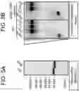 Fig. 06 - Methods of using DNASE1-like 3 in therapy