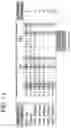 Fig. 18 - Methods of using DNASE1-like 3 in therapy