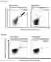 Fig. 15 - Peptides and combination of peptides of non-canonical origin for use in immunotherapy against different types of cancers