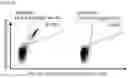 Fig. 18 - Peptides and combination of peptides of non-canonical origin for use in immunotherapy against different types of cancers