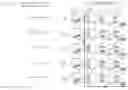 Fig. 03 - IMMUNOCOMPETENT CELL THAT EXPRESSES A CELL SURFACE MOLECULE SPECIFICALLY RECOGNIZING HUMAN MESOTHELIN, IL-7 AND CCL19
