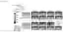 Fig. 13 - IMMUNOCOMPETENT CELL THAT EXPRESSES A CELL SURFACE MOLECULE SPECIFICALLY RECOGNIZING HUMAN MESOTHELIN, IL-7 AND CCL19