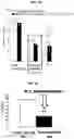 Fig. 15 - Compositions comprising bacterial strains
