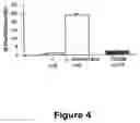 Fig. 05 - STRAIN OF LACTOBACILLUS ACIDOPHILUS HAVING ANALGESIC PROPERTIES IN THE GASTROINTESTINAL SYSTEM