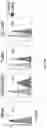 Fig. 06 - Oncolytic virotherapy with helper-dependent adenoviral-based vectors expressing immunomodulatory molecules