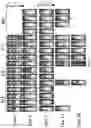 Fig. 21 - Oncolytic virotherapy with helper-dependent adenoviral-based vectors expressing immunomodulatory molecules