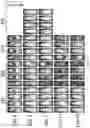 Fig. 24 - Oncolytic virotherapy with helper-dependent adenoviral-based vectors expressing immunomodulatory molecules