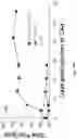 Fig. 29 - Oncolytic virotherapy with helper-dependent adenoviral-based vectors expressing immunomodulatory molecules