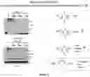 Fig. 10 - Compositions and methods for treatment of hereditary cystatin C amyloid angiopathy (HCCAA) and other neurodegenerative disorder associated with aberrant amyloid deposits