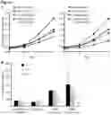Fig. 02 - Immunosuppressive agents and their use in therapy