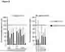Fig. 07 - Immunosuppressive agents and their use in therapy