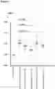 Fig. 09 - Immunosuppressive agents and their use in therapy