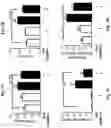 Fig. 05 - Methods for treating pulmonary hypertension with a ligand binding domain of a TGF-beta type II receptor