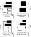 Fig. 06 - Methods for treating pulmonary hypertension with a ligand binding domain of a TGF-beta type II receptor