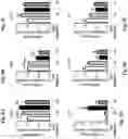 Fig. 08 - Methods for treating pulmonary hypertension with a ligand binding domain of a TGF-beta type II receptor
