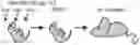 Fig. 01 - Compositions for treating or preventing respiratory tract infections and method of use thereof