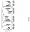 Fig. 12 - Compositions for treating or preventing respiratory tract infections and method of use thereof