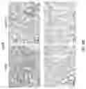 Fig. 20 - Compositions for treating or preventing respiratory tract infections and method of use thereof