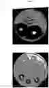 Fig. 08 - ANTIMICROBIAL FIBERS AND COMPOSITIONS