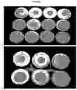 Fig. 09 - ANTIMICROBIAL FIBERS AND COMPOSITIONS