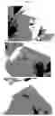 Fig. 12 - ANTIMICROBIAL FIBERS AND COMPOSITIONS
