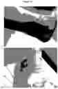 Fig. 16 - ANTIMICROBIAL FIBERS AND COMPOSITIONS