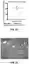 Fig. 04 - COMBINATION THERAPIES COMPRISING DENDRITIC CELLS-BASED VACCINE AND IMMUNE CHECKPOINT INHIBITOR