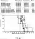 Fig. 10 - COMBINATION THERAPIES COMPRISING DENDRITIC CELLS-BASED VACCINE AND IMMUNE CHECKPOINT INHIBITOR
