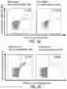 Fig. 32 - Method of treating with a peptide
