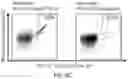 Fig. 34 - Method of treating with a peptide