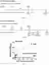 Fig. 02 - Composition and method for generating immunity to 