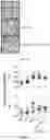 Fig. 04 - Composition and method for generating immunity to 