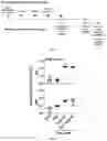 Fig. 09 - Composition and method for generating immunity to 