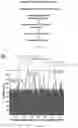 Fig. 03 - Epitope-targeted peptide immunostimulants