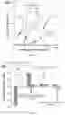 Fig. 04 - Epitope-targeted peptide immunostimulants