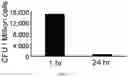 Fig. 13 - Epitope-targeted peptide immunostimulants