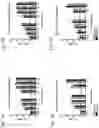 Fig. 07 - Biochemically stabilized HIV-1 Env trimer vaccine