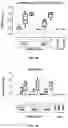Fig. 06 - Adenovirus and uses thereof