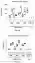 Fig. 07 - Adenovirus and uses thereof