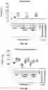 Fig. 08 - Adenovirus and uses thereof