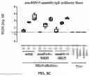 Fig. 09 - Adenovirus and uses thereof