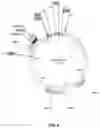 Fig. 12 - Adenovirus and uses thereof