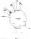 Fig. 14 - Adenovirus and uses thereof