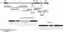 Fig. 01 - Recombinant non-pathogenic Marek's Disease virus constructs encoding multiple heterologous antigens