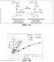 Fig. 05 - Temperature-responsive degradable hydrogels