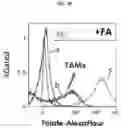 Fig. 41 - PBD CONJUGATES FOR TREATING DISEASES