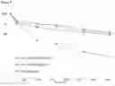 Fig. 06 - Hydrophilic linkers and conjugates thereof